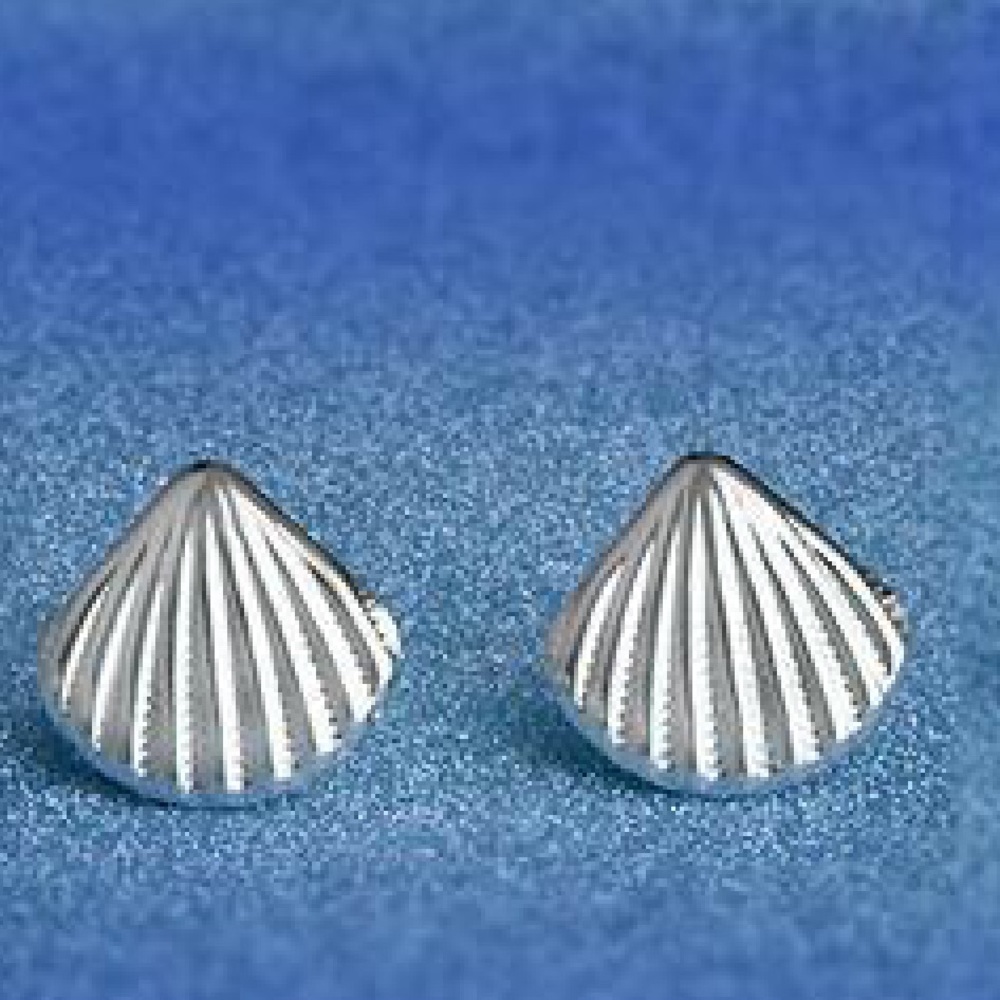 Seashell earrings silver 925